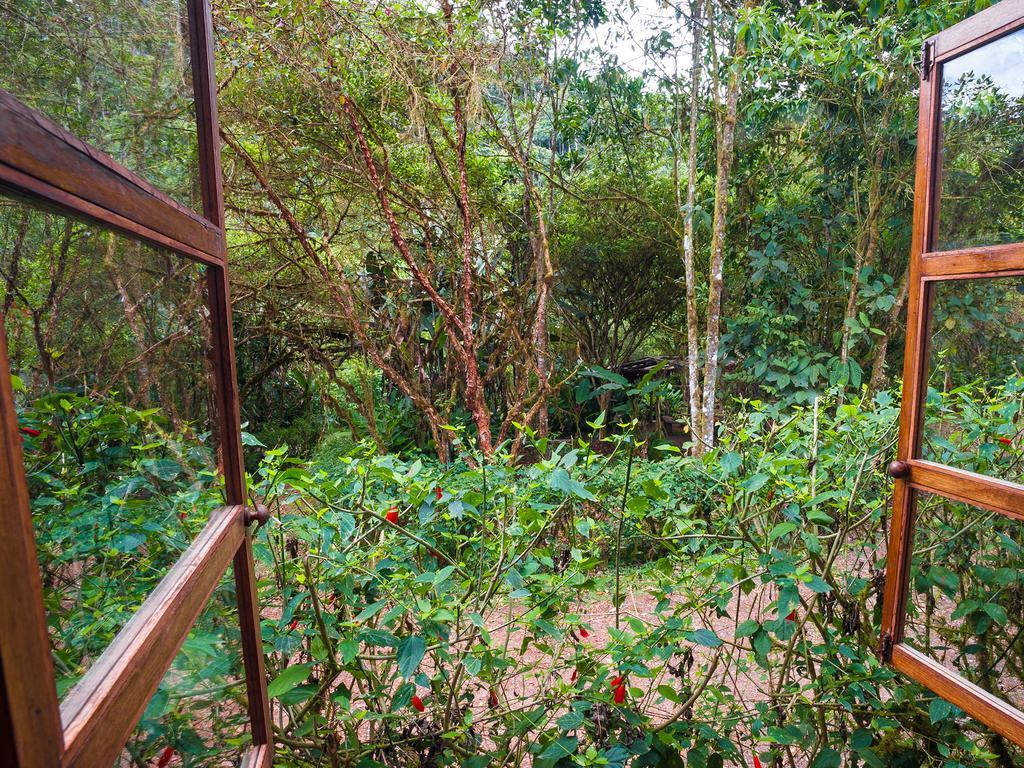 El Septimo Paraiso Mindo Exterior foto